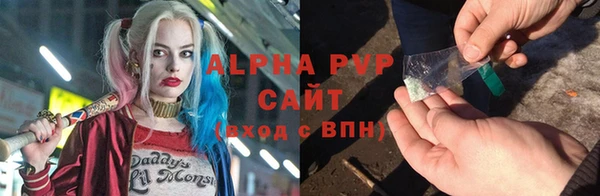 стаф Вязьма