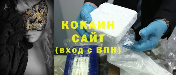 стаф Вязьма