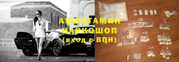 стаф Вязьма