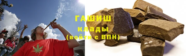 стаф Вязьма
