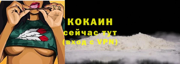 соль ск Вяземский