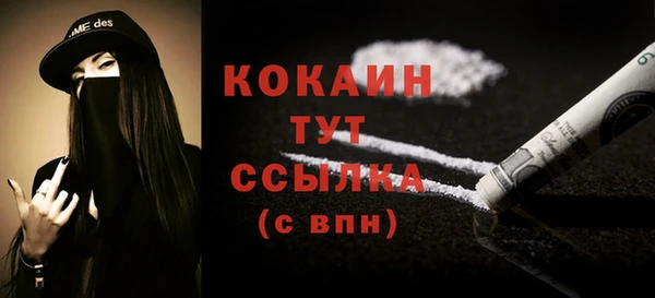 соль ск Вяземский
