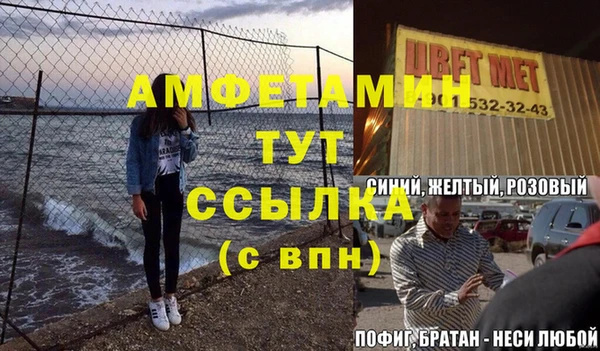 стаф Вязьма