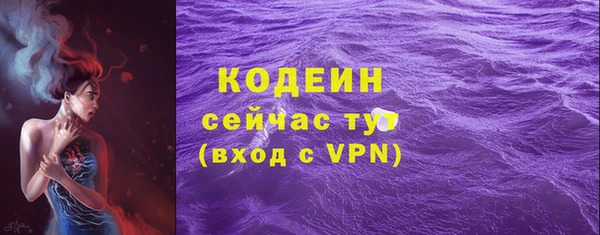 стаф Вязьма