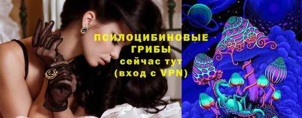 стаф Вязьма