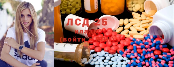 стаф Вязьма